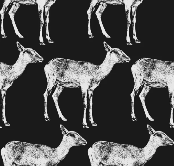 Chèvre ou antilope . — Image vectorielle