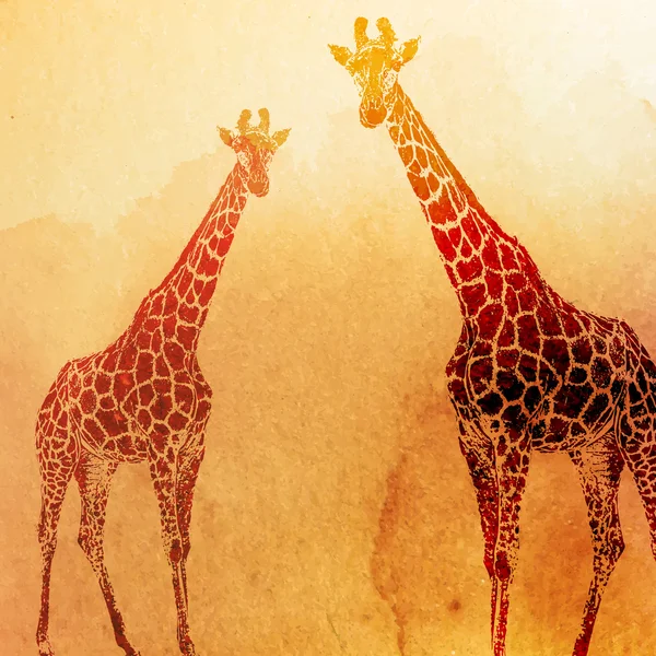 Akvarel giraffer – Stock-vektor