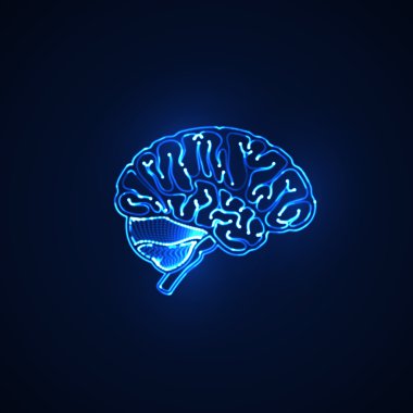 human brain. neon sign