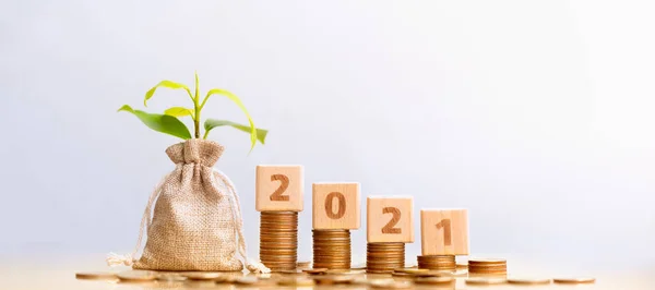 Bloco Madeira 2021 Moedas Saco Com Pequena Árvore Plantas Fundo — Fotografia de Stock