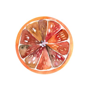 Baharatlar sıcak şarap için - anason, tarçın, kurutulmuş portakal. anason, tarçın, kurutulmuş portakal.