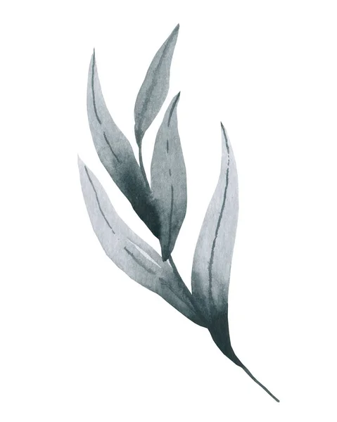 Elegant blommig bakgrund med blad och grenar. akvarellritning. — Stockfoto