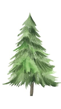 Noel ağacı. Suluboya sanat. WATERCOLOR çizimi. İzole edilmiş.