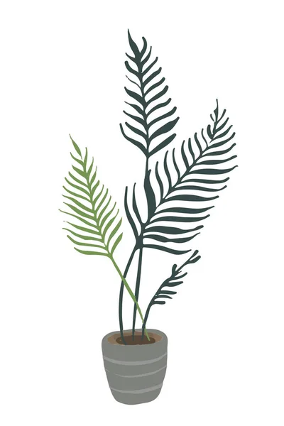 Plantas Boho House Dibujadas Mano Ilustración Estilo Escandinavo Decoración Casera — Foto de Stock