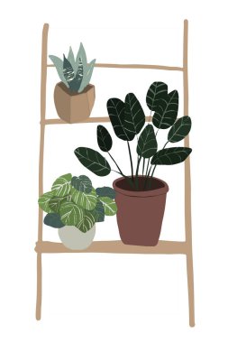 Bir çift sulu higge saksısı. Konforlu lagom İskandinav tarzı bitki koleksiyonu