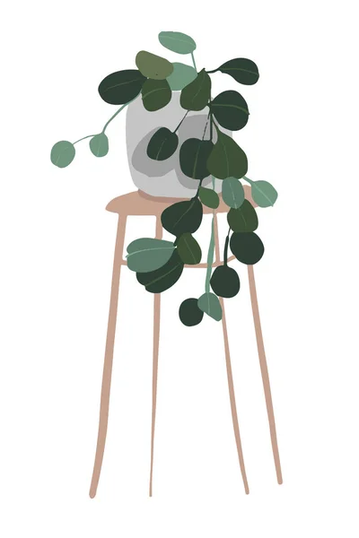 Handgezeichnete tropische Zimmerpflanzen. Illustration im skandinavischen Stil, moderne und elegante Wohnkultur. Designblumen. — Stockfoto