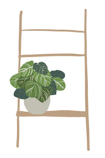 Φυτά σε γλάστρες απομονωμένα στο λευκό φόντο. illustration with stylish lettering - Τα φυτά είναι οι φίλοι μας — Φωτογραφία Αρχείου