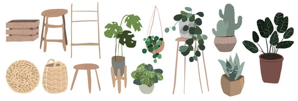 Conjunto de plantas de interior en macetas. Ilustración — Foto de Stock