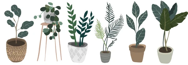 Set van hygge gepotte vetplanten. Gezellige lagom Scandinavische stijl collectie van planten — Stockfoto