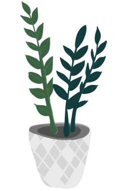 El yapımı tropik ev bitkileri. İskandinav tarzı illüstrasyon, modern ve zarif ev dekorasyonu. tasarım çiçekleri.