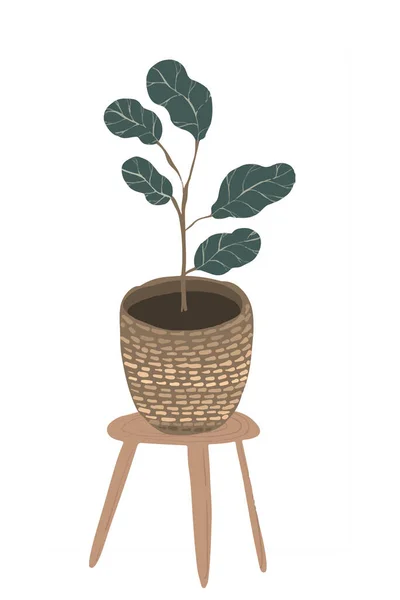 Φροντίδα για τα φυτά στο σπίτι. Θάλαμος πάνω από λουλούδια. Ficus με γράμματα και με μοτίβο. Φροντίδα φυτών. Boho επίπεδη απεικόνιση για κάρτες, πανό, άρθρα και τη δημιουργικότητά σας. — Φωτογραφία Αρχείου