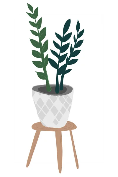 Plantas de casa tropicales dibujadas a mano. Ilustración de estilo escandinavo, decoración casera moderna y elegante. flores de diseño. — Foto de Stock