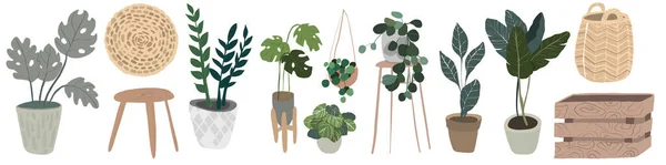 Set dari berbagai pot tanaman dalam ruangan di interior boho. Besar untuk majalah berkebun — Stok Foto