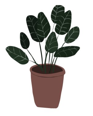 El çizimi ev bitkileri. İskandinav tarzı illüstrasyon, modern ve zarif ev dekorasyonu.