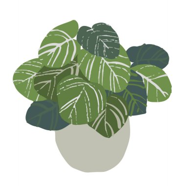 El çizimi ev bitkileri. İskandinav tarzı çizimler, modern