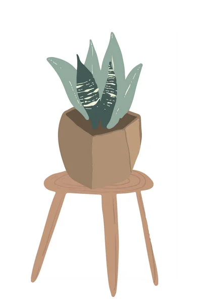 Plantas de casa tropicales dibujadas a mano. Ilustración de estilo escandinavo, moderna y elegante — Foto de Stock