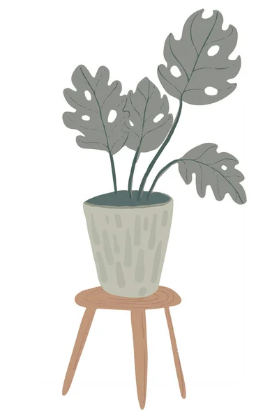 Plante Monstera en pot. Illustration dessinée à la main sur fond blanc. — Photo