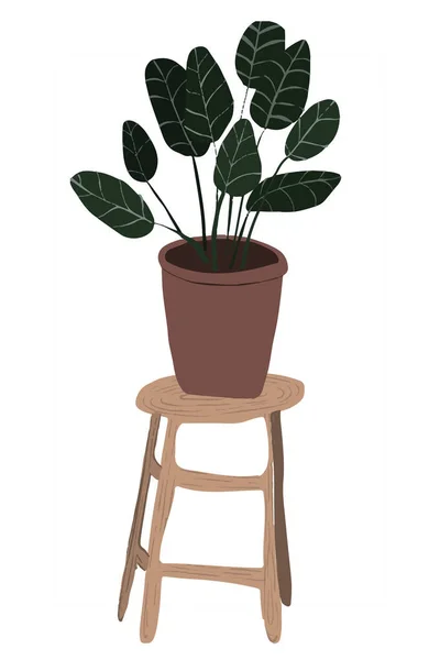 Handgezeichnete Boho-Zimmerpflanzen. Illustration im skandinavischen Stil, moderne und elegante Wohnkultur. — Stockfoto