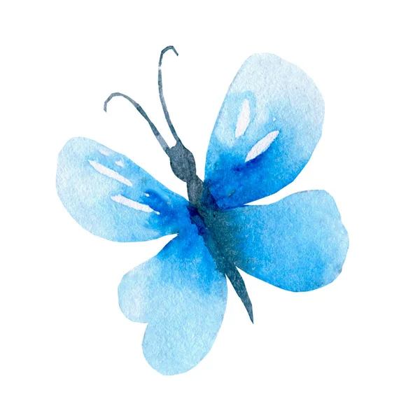 Watercolor Butterfly The Ulysses butterfly Papilio ulysses — Stock Photo, Image