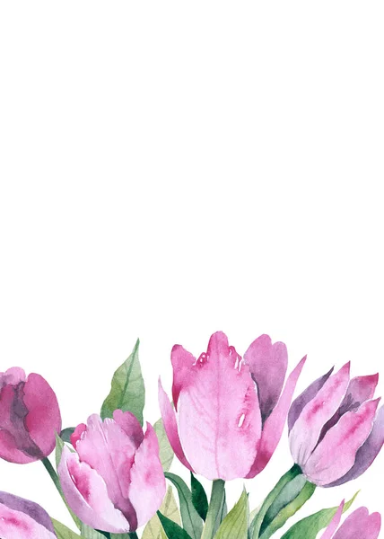 Horizontal seamless background with colored tulips. illustration. — Stock Photo, Image