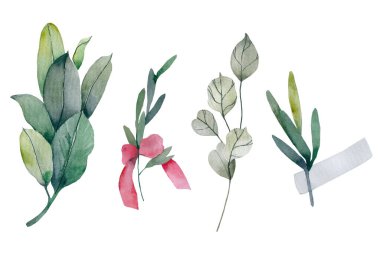Okaliptüs bitkileri. Kırsal yaprak dalları ve düğün davetiyeleri için yapraklar, dekoratif bitkiler koleksiyonu. Botanik seti doğası suluboya yeşillik yaprakları