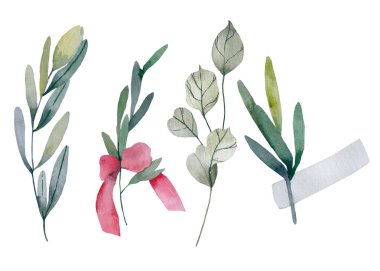 Suluboya çelenk ve şöhret seti. El boyası dallar, yapraklar, taç dekoru elementleri. Tasarım şablonu ve davetiye için..