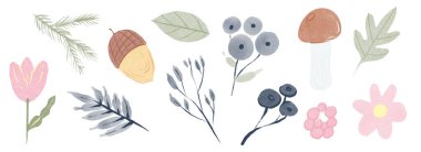 Sonbahar doğa elementleri suluboya tarzında. Tüyler, taşlar, meyveler, meşe palamutları, yapraklar