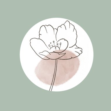 Hikaye Vurgulama simgesi seti. Soyut çiçek çizgisi botanik.