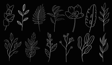 Klasik dikişsiz çiçek deseni. Bahar çiçekleri ve bitkiler. Botanik illüstrasyon.