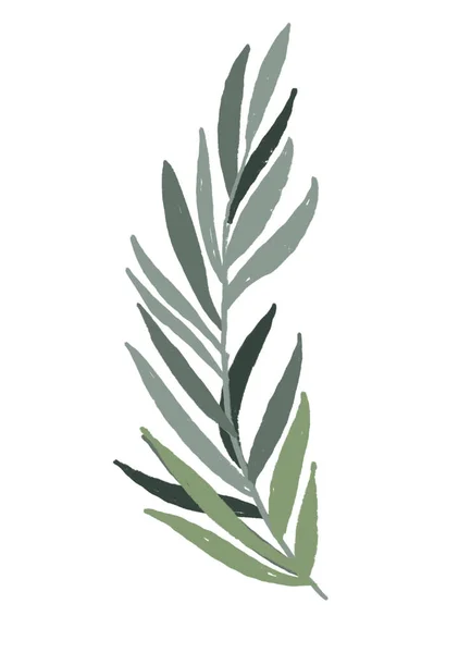 Leaf of palm tree Cartoon boho style illustration — Φωτογραφία Αρχείου