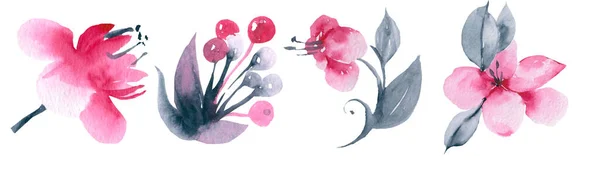 Рожеві акварельні квіти розквітнуть ілюстрацію. Встановити збірку — стокове фото
