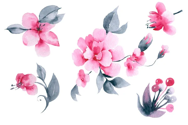 Roze aquarel bloemen bloesem illustratie. Inzameling — Stockfoto