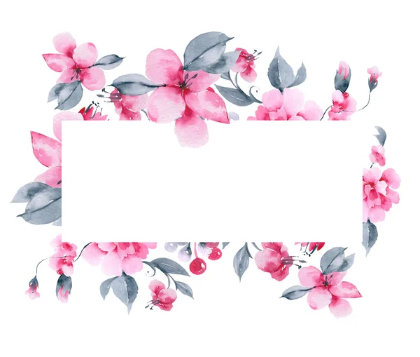 Illustrazione di fiori rosa ad acquerello. Set di raccolta — Foto Stock