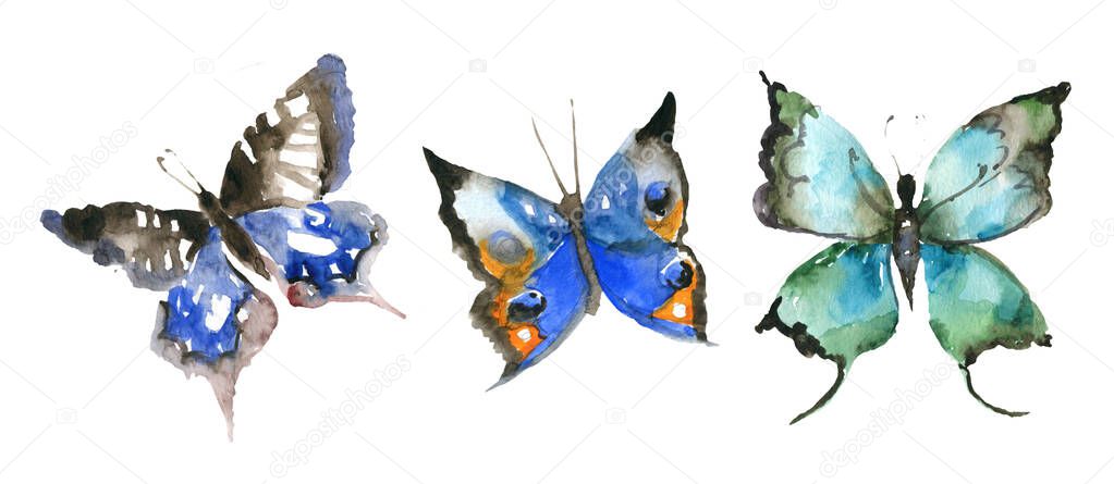 Watercolor butterfly set. Hand painted watercolor illustration. collection of colorful butterflies for your design. Watercolor painting
