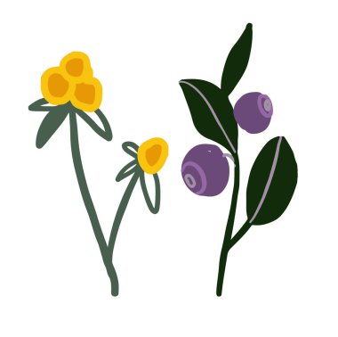 Sonbahar yabani orman meyveleri. Doğal illüstrasyon