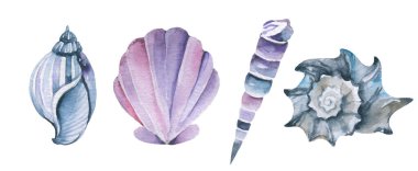 Suluboya Deniz Kabuğu Su altı ve deniz kabukları Koleksiyonu