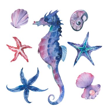 Suluboya yosunları. El yapımı akvaryum bitkileri. Deniz altı yenilebilir yosunlar.