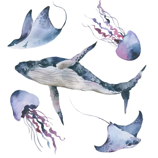 Mare, set, animale, subacqueo, acquerello, illustrazione, nautico, dipinto a mano, stingray, blu, Medusa — Foto Stock