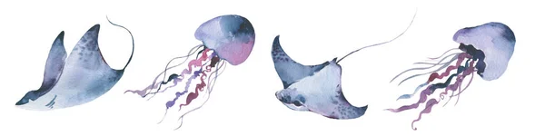 Stingray Medusa akvarell gyűjtemény, Állítsa be a tengeri állatok Kék óceán Stingray hal. — Stock Fotó