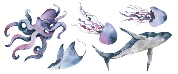 sea, set, animal, underwater, watercolor, illustration, Nautical, Hand painted, stingray, Blue, Medusa