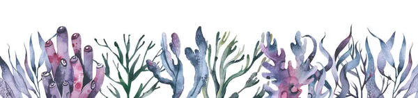 Corais aquarela mundo subaquático ilustração horizontal com aquarela vida marinha algas coloridas — Fotografia de Stock