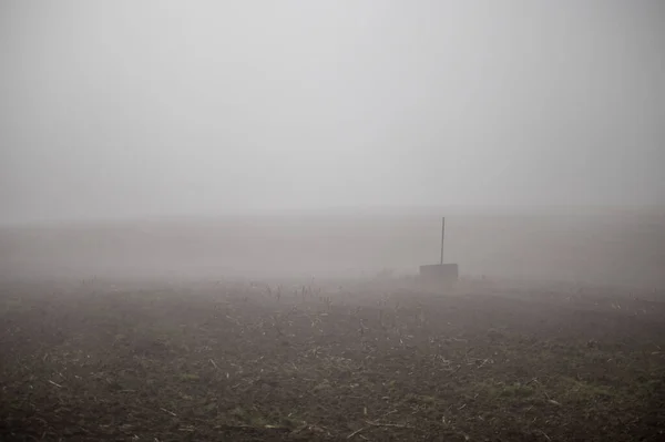 Густой туман на поле, туманный осенний день — стоковое фото