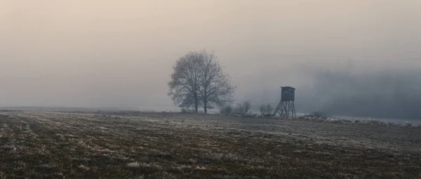 Ландшафт в тумане, поле, охота вслепую, деревья — стоковое фото