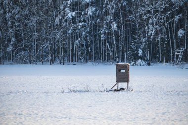 Kışın karlı tarlada kör avlanmak.