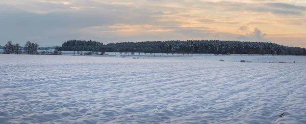 Зимний пейзаж, снежное поле, лес и деревья на горизонте — стоковое фото