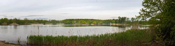 Pequenas ilhas com aves aquáticas na lagoa, Reserva Natural Vrbenske rybniky, Ceske Budejovice, República Checa — Fotografia de Stock