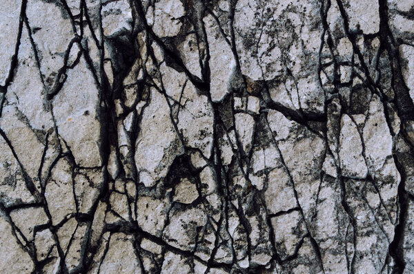 Rough stone texture. Rock surface close up