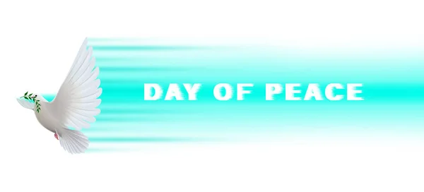 International Day Peace White Dove Flight Laurel Branch Close — Stock Photo, Image