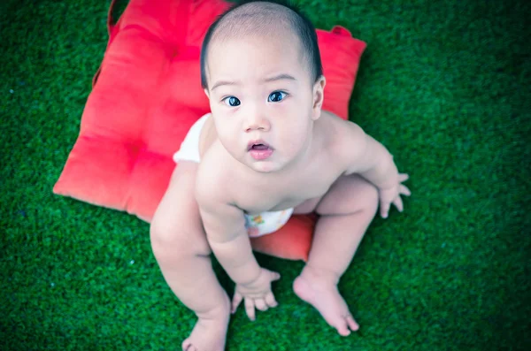 Retrato de bebê asiático feliz na grama — Fotografia de Stock