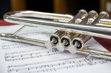 Portre üzerinde müzik melodi trompet